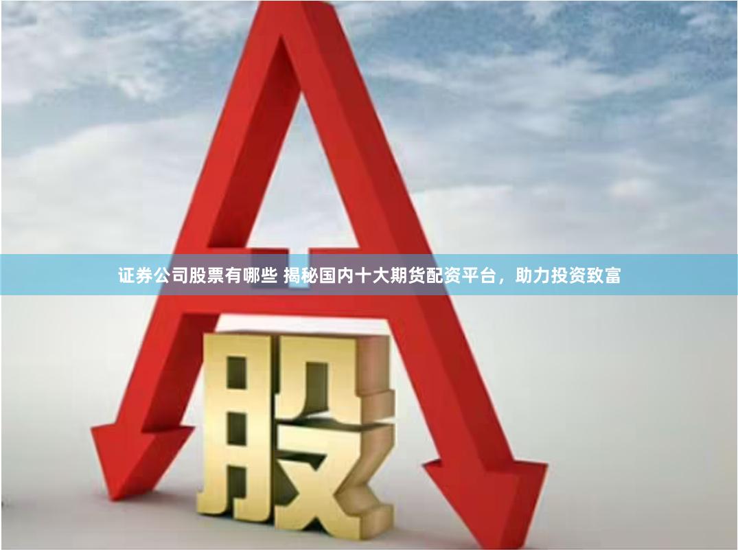 证券公司股票有哪些 揭秘国内十大期货配资平台，助力投资致富