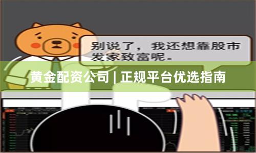 黄金配资公司 | 正规平台优选指南