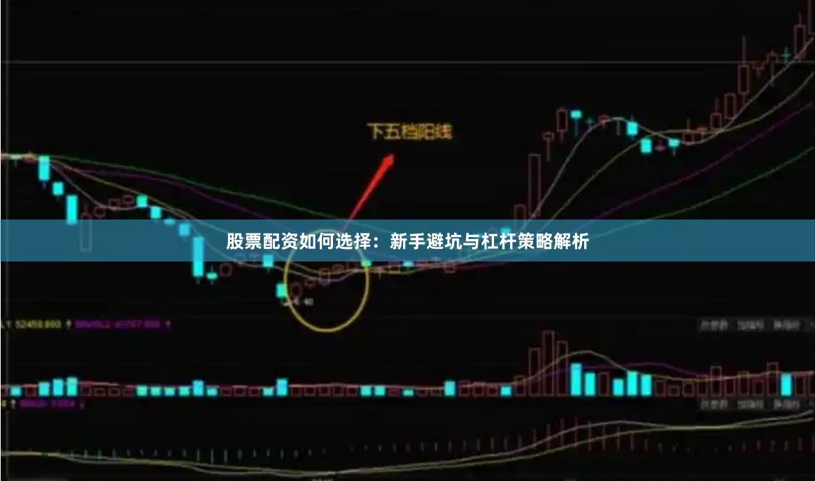股票配资如何选择：新手避坑与杠杆策略解析
